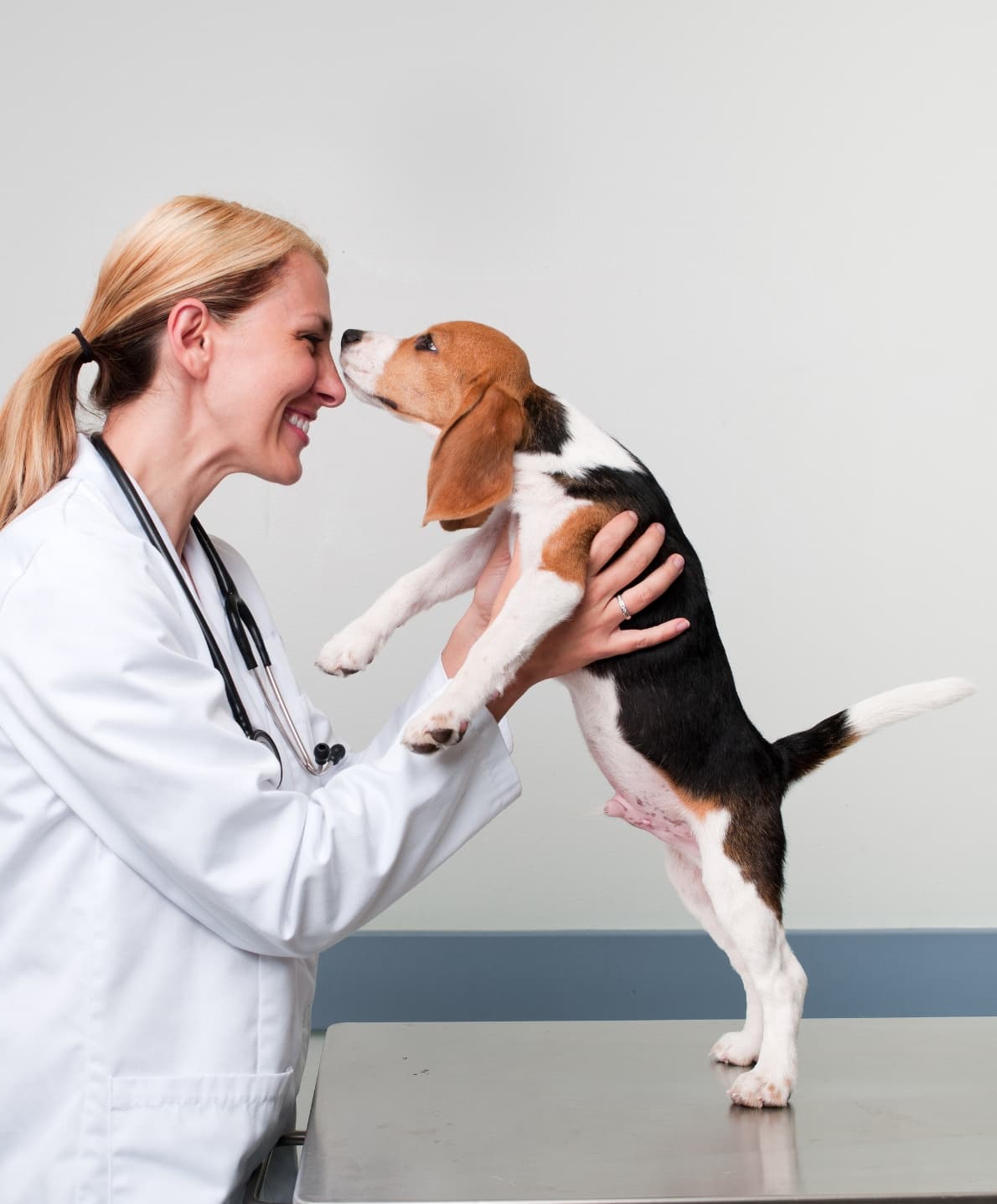 A women doctor holding a dog